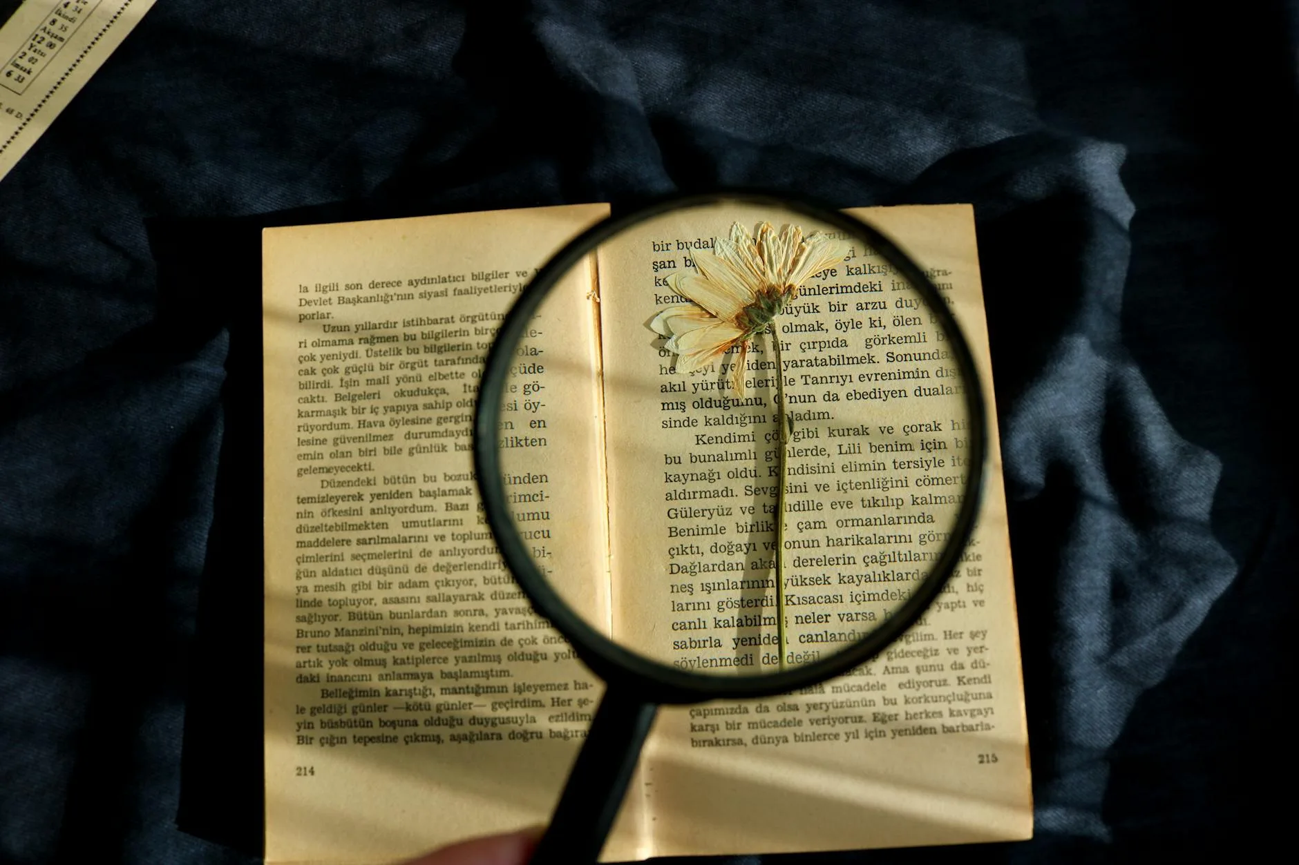 Si të Bëhemi Karizmatik?