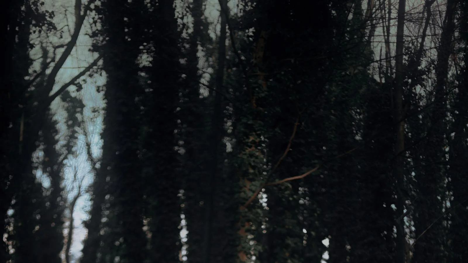 Mitologjia shqiptare — figurat femërore